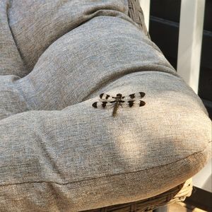 Mostly women's and juniors shoes and clothing